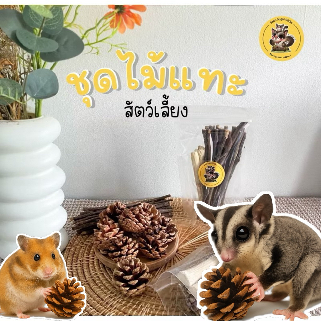 (ชุดลับฟันไม้แทะ) ที่มาจากธรรมชาติ ปลอดภัย สำหรับสัตว์เลี้ยงฟันแทะ ทุกชนิด