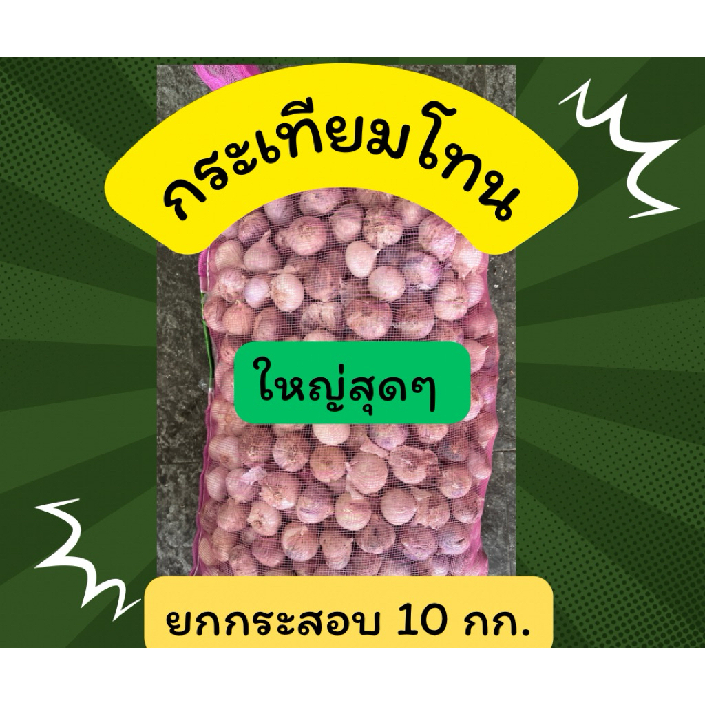กระเทียมโทนใหญ่สุดๆ 10 กิโลกรัม (ขายส่ง)