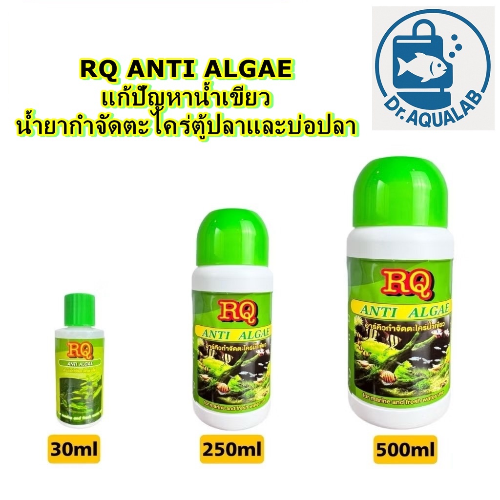 ✅ RQ ANTI ALGAE น้ำยากำจัดตะไคร่น้ำเขียว ตู้ปลา บ่อปลา น้ำใส ปลอดภัยต่อปลา ไม่มีสารตกค้าง