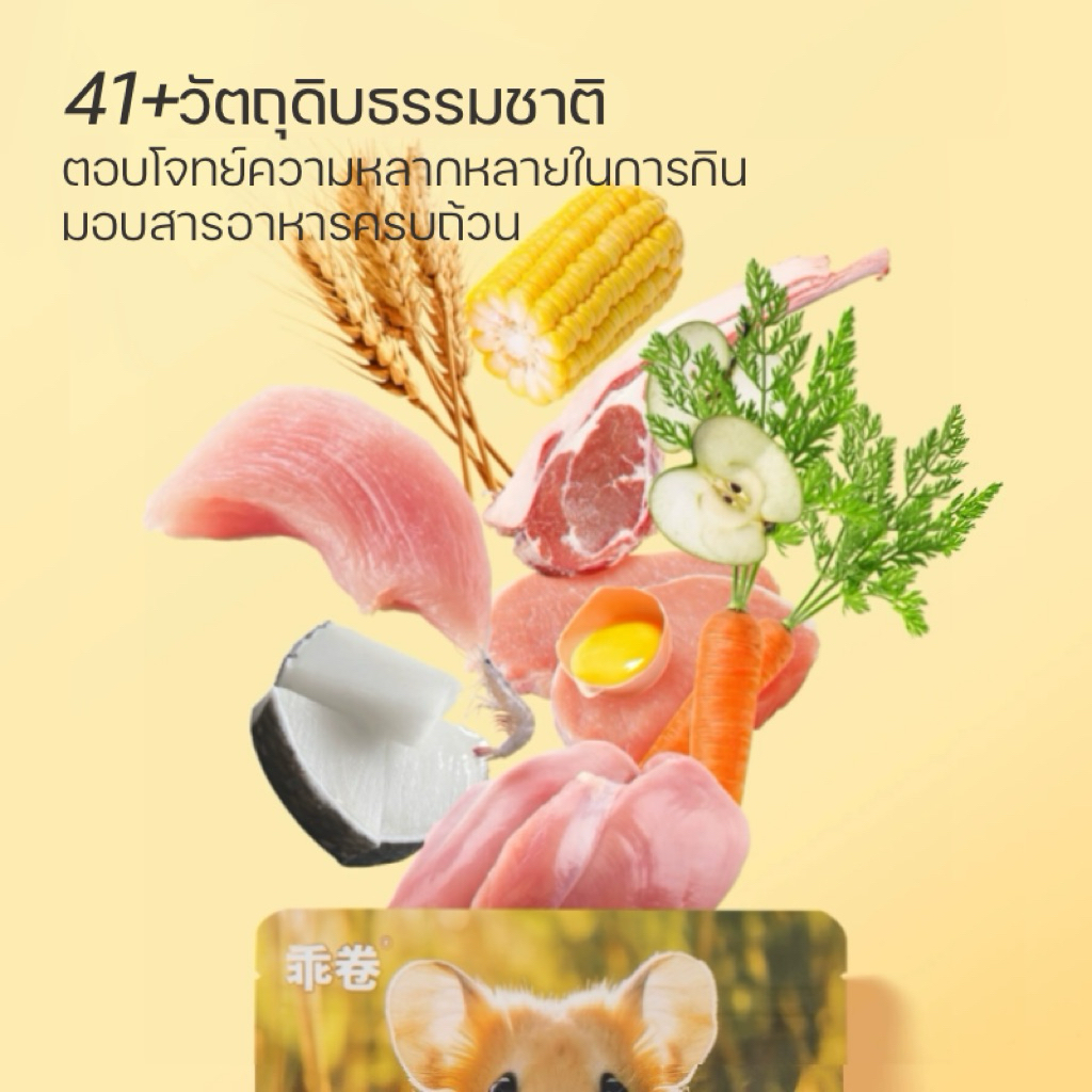 [Rodizoo] อาหารสูตรฟรีซดราย5ชนิด500g. อาหารแฮมสเตอร์ทุกสายพันธุ์ ไจแอนท์ แคระ แฟตเทล ดอร์เม้า สัตว์เลี้ยงขนาดเล็ก ราคา ถูกที่สุด ดีลบีเคเค แกลเลอรีภาพที่ 5