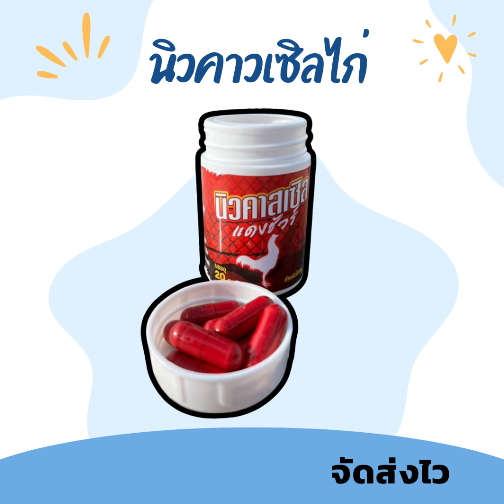 อาหารไก่ แดงชัวร์ ............ นิวคาสเสิ้น อาหารนก