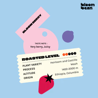 Bloom Bean กาแฟคั่วอ่อนรส Bloom Berry ส่วนผสมที่ลงตัวจากเอธิโอเปียและโคลัมเบีย หอมกลิ่นเบอร์รี่ รสหวานอมเปรี้ยว สดชื่น