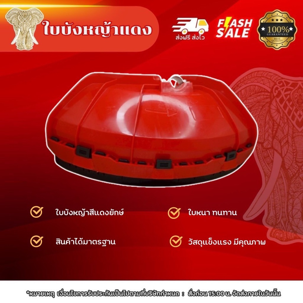 ใบบังหญ้าแดงใหญ่ ใบบังหญ้ายักษ์ ใบบังหญ้าหนาคุณภาพดี