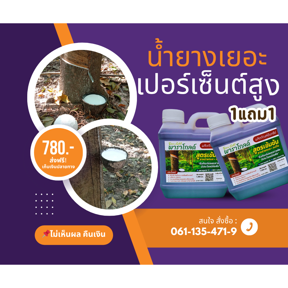 พาราโกลด์ ปุ๋ยน้ำยางพารา ปุ๋ยยางพารา ยาทาหน้ายาง พาราโกลด์ 1 ลิตร น้ำยางออกเต็มหน้า กรีดง่าย ต้นไม่โทรม รับประกันคุณภาพ