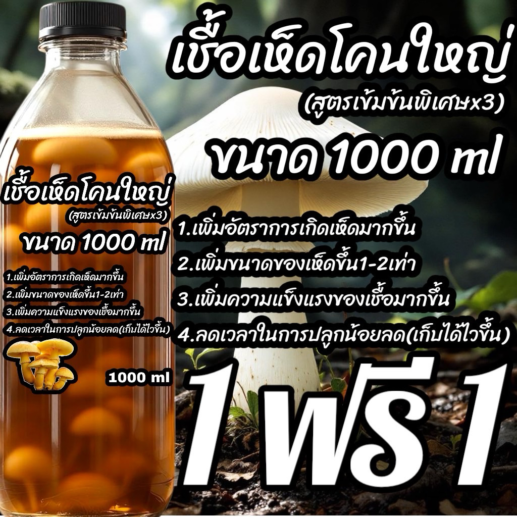 🔥1ฟรี1🔥น้ำเชื้อเห็ดโคนใหญ่(สูตรเข้มข้นพิเศษX3) มีให้เลือกถึง 20สายพันธุ์ รับประกันสายพันธุ์ รับประกันการส่ง เชื้อเห็ดโคน