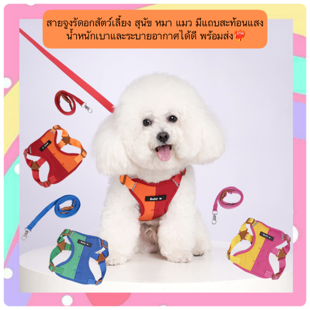 AL-502 สายจูงรัดอกสัตว์เลี้ยง สุนัข หมา แมว มีแถบสะท้อนแสง น้ําหนักเบาและระบายอากาศได้ดี พร้อมส่ง❤️‍🔥