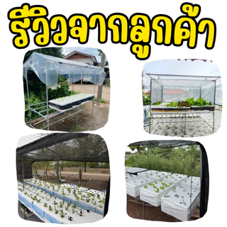 โต๊ะปลูกผักไฮโดรโปนิกส์ โต๊ะปลูกผักสำเร็จรูป ประกอบง่าย (มีคลิปสอน) แข็งแรง วางกล่องโฟมได้ 10 กล่อง