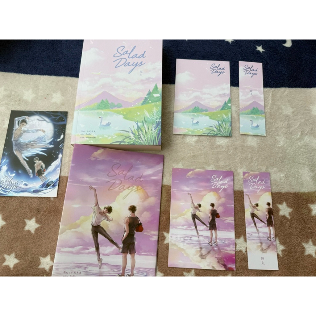 พร้อมส่ง นิยาย Salad Days สู่ฝันของสองเรา มือสอง สภาพอ่าน