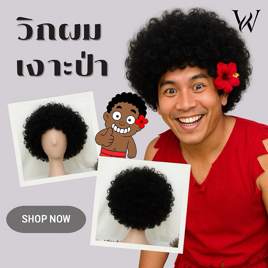 (ส่งจากกทม.) วิกผมแฟนซีแอโฟร วิกผผมทำคอนเทนต์  วิกผมเงาะป่าทรงดิสโก้สุดชิค หนา ฟู สะใจ ! ขนาดปกติและขนาดพิเศษ สีดำ