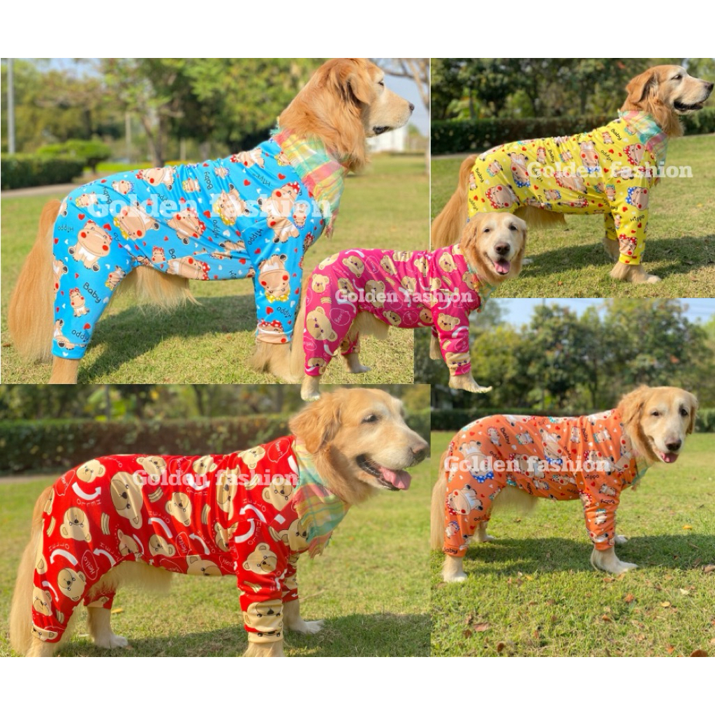 รูปภาพ 2