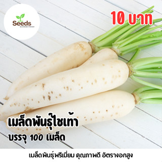 เมล็ดพันธุ์ไชเท้า บรรจุ 100 เมล็ด/ซอง