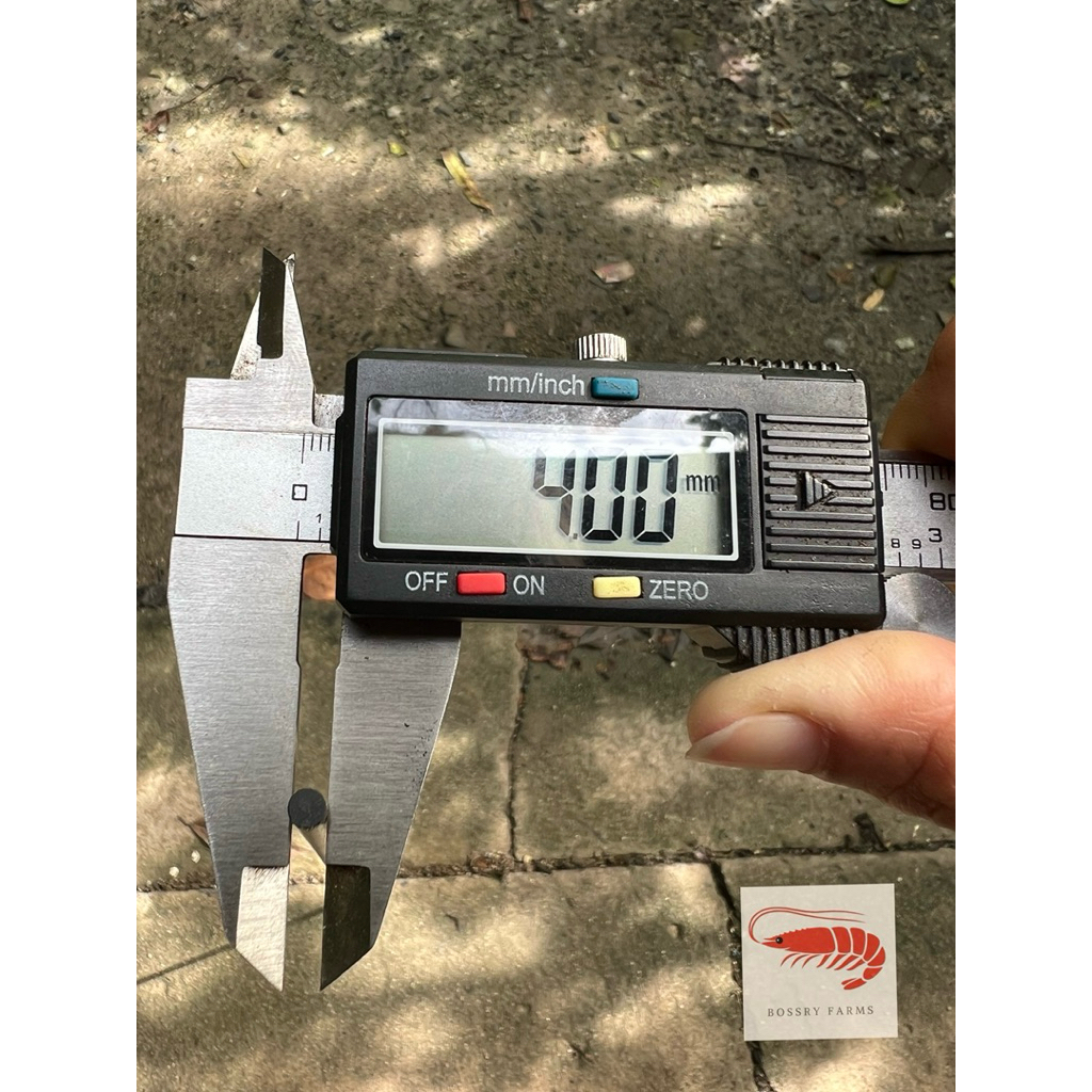 ก้านค้ำต้นไม้ ที่ค้ำต้นไม้ ก้านไฟเบอร์ ขนาด 4 มิล 5 มิล ยาว 50 ซม 60 ซม - รูปที่ 5