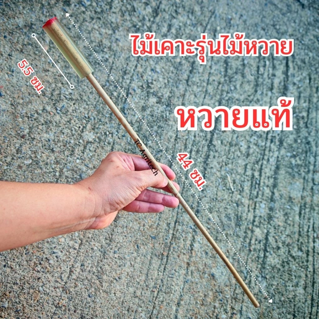 ส่งฟรี ไม้เคาะทุเรียนรุ่นไม้หวายแท้ 1 อัน (คละสีท่อยางสีแดงและสีใส)