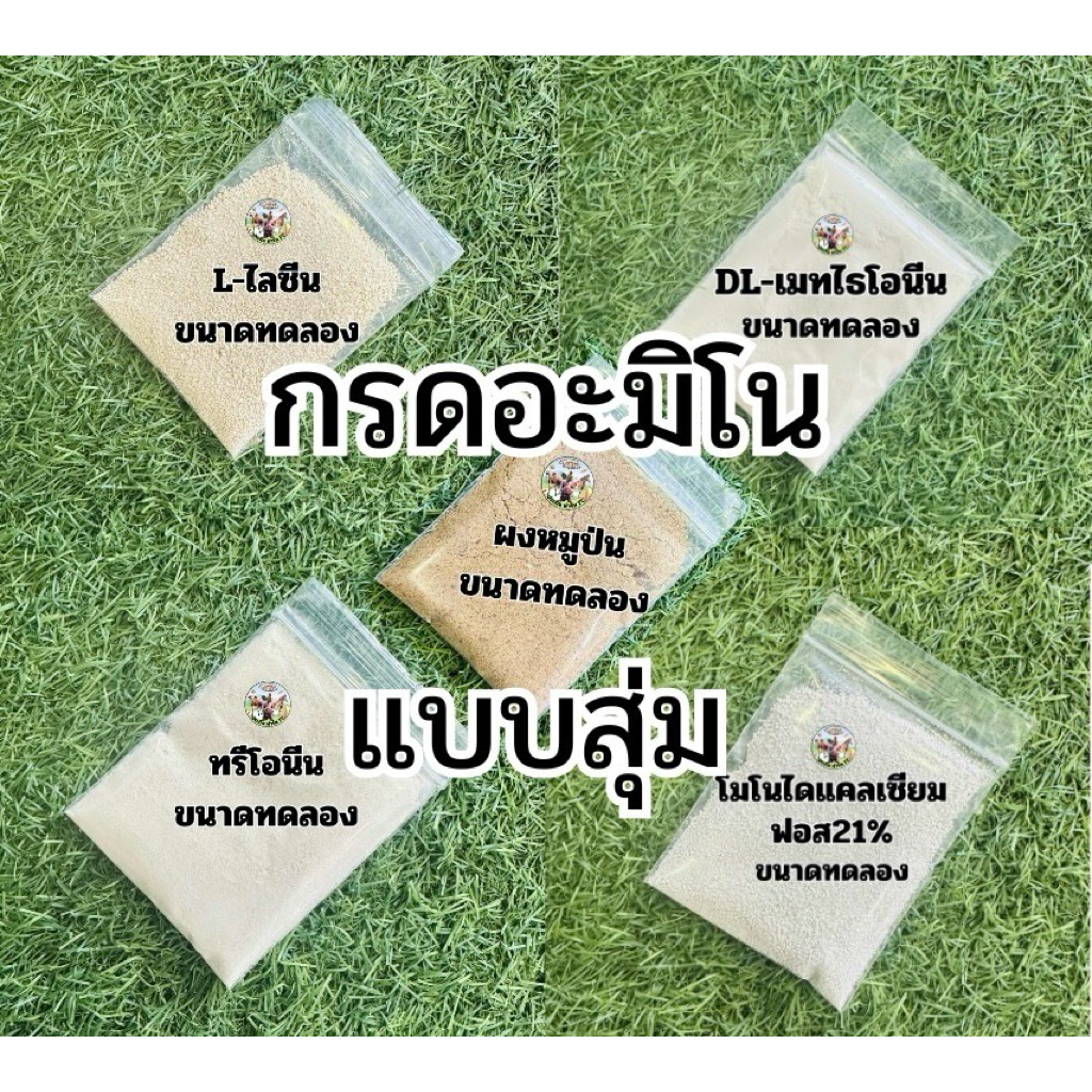 [แจกฟรี] กรดอะมิโน แบบสุ่ม ขนาดทดลองเท่านั้น