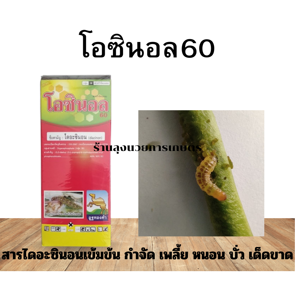 โอซินอล ขนาด1ลิตร ไดอะซินอน 60%EC สูตรเด็ดกำจัดแมลงทั้งเพลี้ยและหนอน กำจัด บั่ว เพลี้ย และหนอนเจาะผลได้ดี