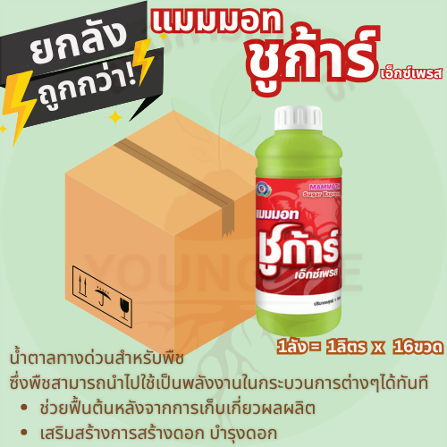 แมมมอท ชูก้าร์ เอ็กซ์เพรส 1ลิตรx16ขวด(ยกลัง) เทพวัฒนา ตราปลาคู่