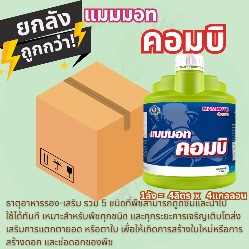 แมมมอท คอมบิ ธาตุอาหารรอง5ชนิด 4ลิตรX4แกลลอน เทพวัฒนา ตราปลาคู่
