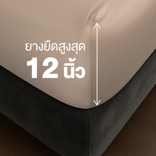 ibed ผ้าปูที่นอนเย็น นุ่มลื่น ป้องกันไรฝุ่น กันขนสัตว์ รุ่น Adaptive Cool Silk สีน้ำตาล