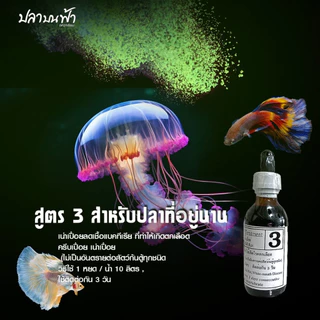 ใบโอน็อค BIO-KNOCK ผลิตภัณฑ์ดูแลปลา มี 4 สูตร สำหรับปลาสวยงาม ใช้ได้กับปลาน้ำจืด และปลาทะเล
