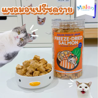 แซลม่อนฟรีซดราย MalonFreezedried / ขนมหมาฟรีซดราย ขนมแมวฟรีซดราย