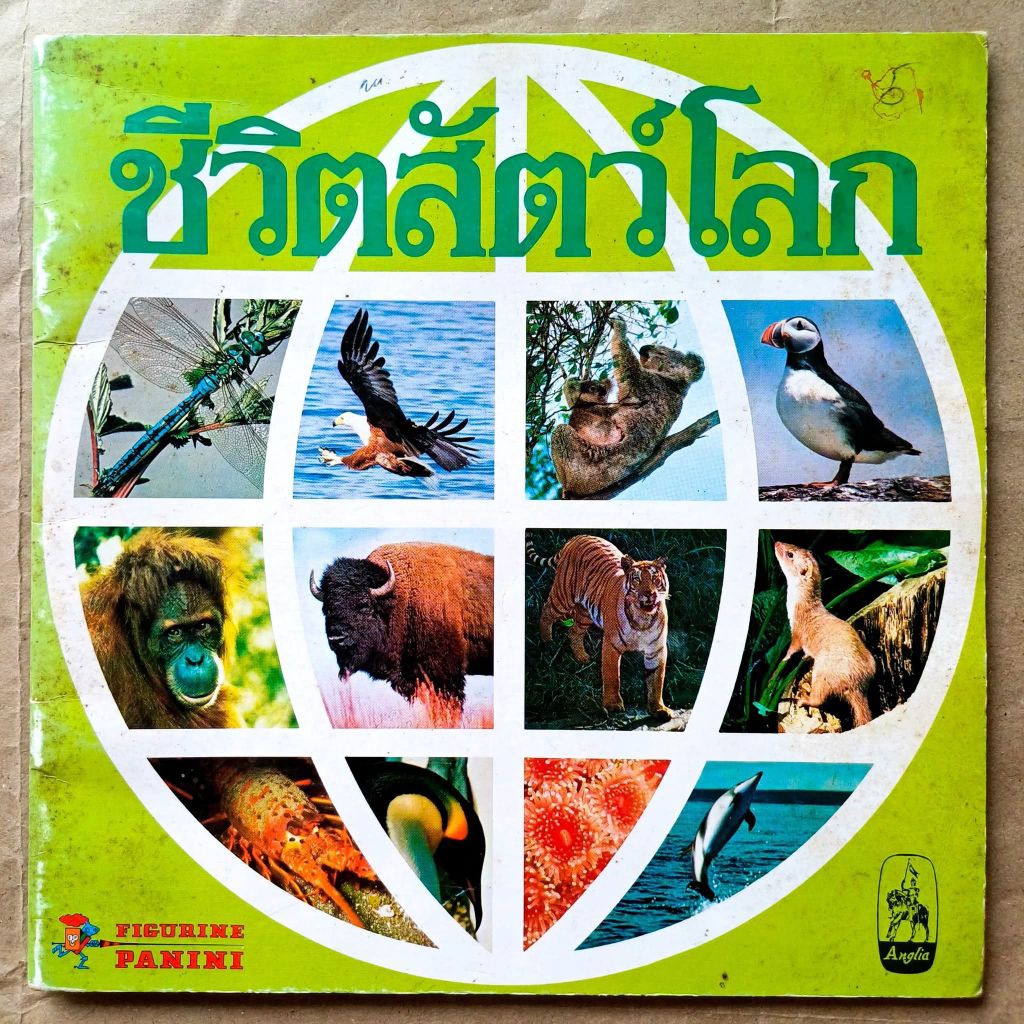 สมุดสะสมสติ๊กเกอร์ "ชีวิตสัตว์โลก" ของ FIGURINE PANINI #พ.ศ.2529 #ยุค 80's #ติดสติ๊กเกอร์ไปแล้ว 45 ใ