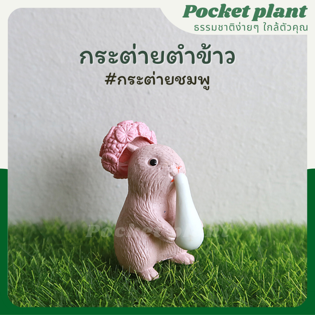 มุมมอง 6