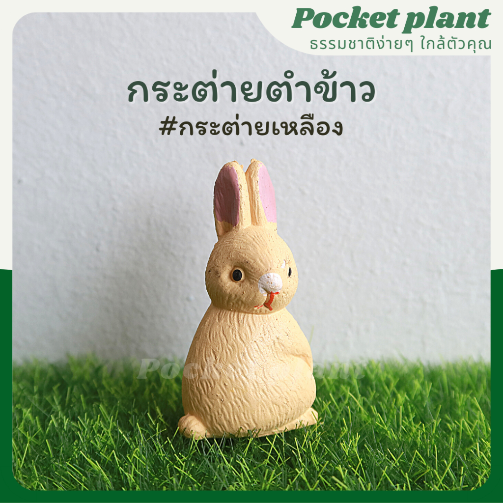 มุมมอง 4