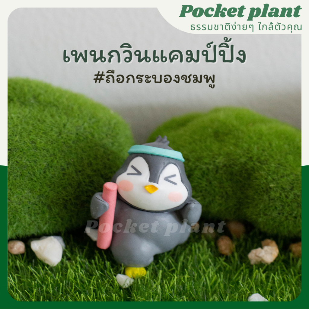 มุมมอง 5