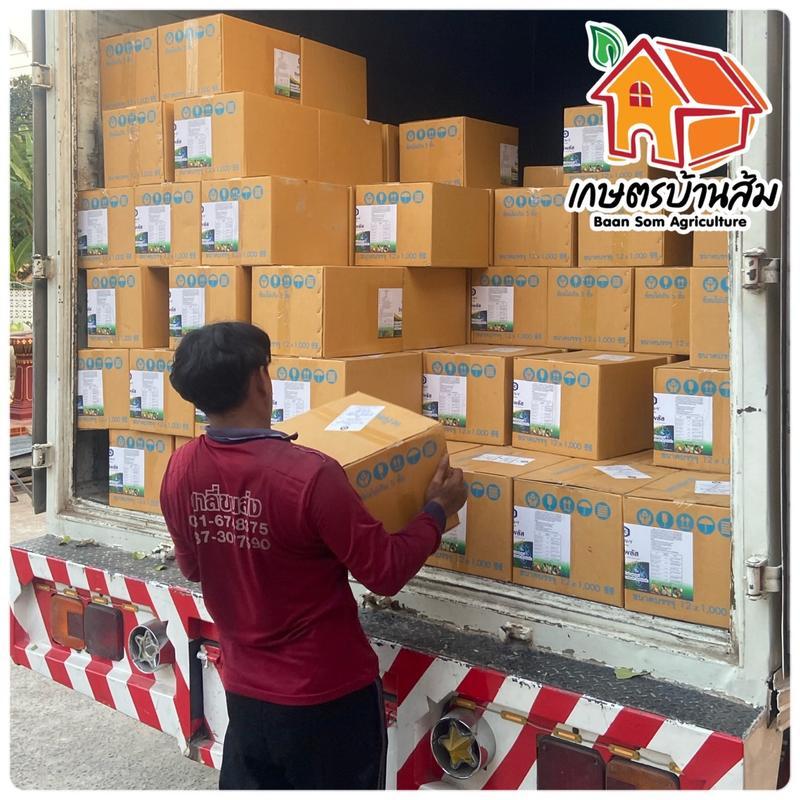 [โปร 2 ขวด ] ซิงค์พลัส สังกะสี 16% เร่งการแตกยอด แตกใบอ่อน แก้อาการใบเหลือง ต้นโทรม - รูปที่ 4