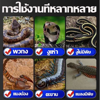 🐍ไม่มีงูในระยะ1000เมตร ผงไล่งู รุ่นอัปเกรด 500g ผงกันงู ผงกํามะถัน ไล่งูและแมลงพิษทุกชนิด
