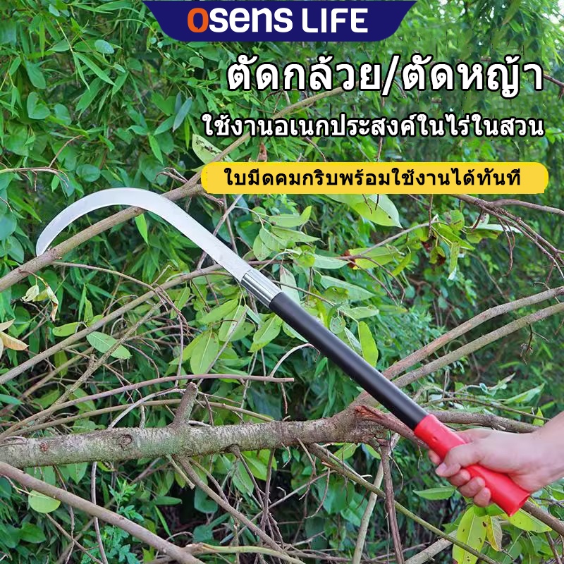 SK5 คมกริบ เหล็กแมงกานิส มีดพร้า มีดขอชัก มีดขอชักกล้วย ตัดแต่งใบกล้วย มีดตัดกล้วย มีดทำสวน มีดตัดแต่งกิ่งไม้ ด้ามยาว