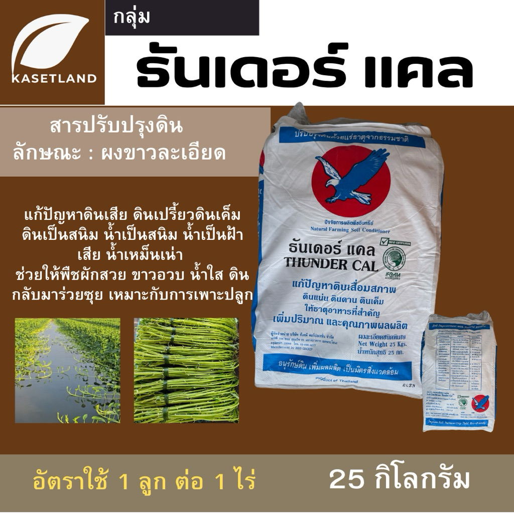 ยิปซั่มผง ธันเดอร์แคล ขนาด 25 กิโลกรัม สารปรับสภาพดิน แก้ปัญหาดินเสีย น้ำเสีย ปูนขาว ปูนยิปซั่ม