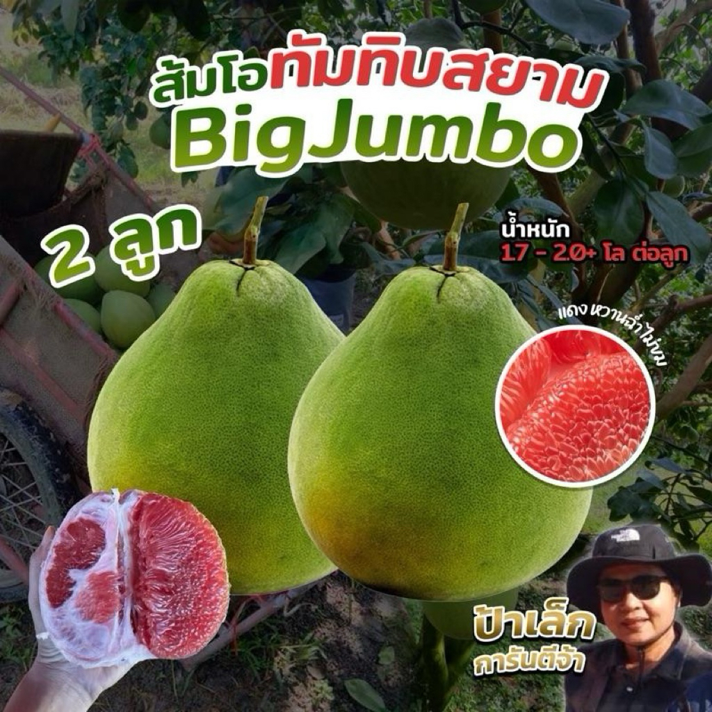ส้มโอทับทิมสยามปากพนัง ไซส์ Big jumbo  2ลูก  น้ำหนัก 1.7- 2.0 กก./ต่อลูก จากสวนป้าเล็กขี้ลืม สินค้า