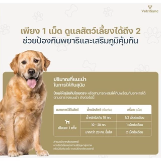 อาหารเสริมกำจัดเห็บหมัดสุนัขและแมว *อาร์มีแท็บซิงค์พลัส*(ARMETAB ZINC+) กำจัดเห็บหมัดหมาแมว 1กล่องบรรจุ12เม็ด