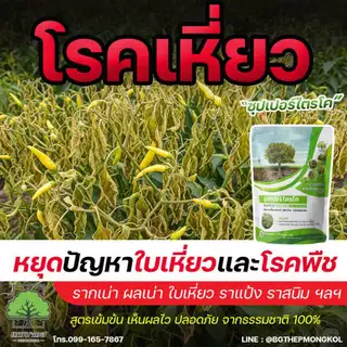 ซุปเปอร์ไตรโค ตราเทพมงคล กำจัดโรคจากเชื้อรา ป้องกัน กำจัดโรคพืช แก้ใบเหลือง รากเน่า โคนเน่า โรคใบจุด ใบแห้ง โรคทลายปาล์ม
