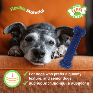🇺🇸Made in USA🇺🇸 Nylabone Flexi Chew Textured Dental Bone Dog Chew Toyของเล่นขัดฟันสุนัขมีปุ่มรอบด้าน