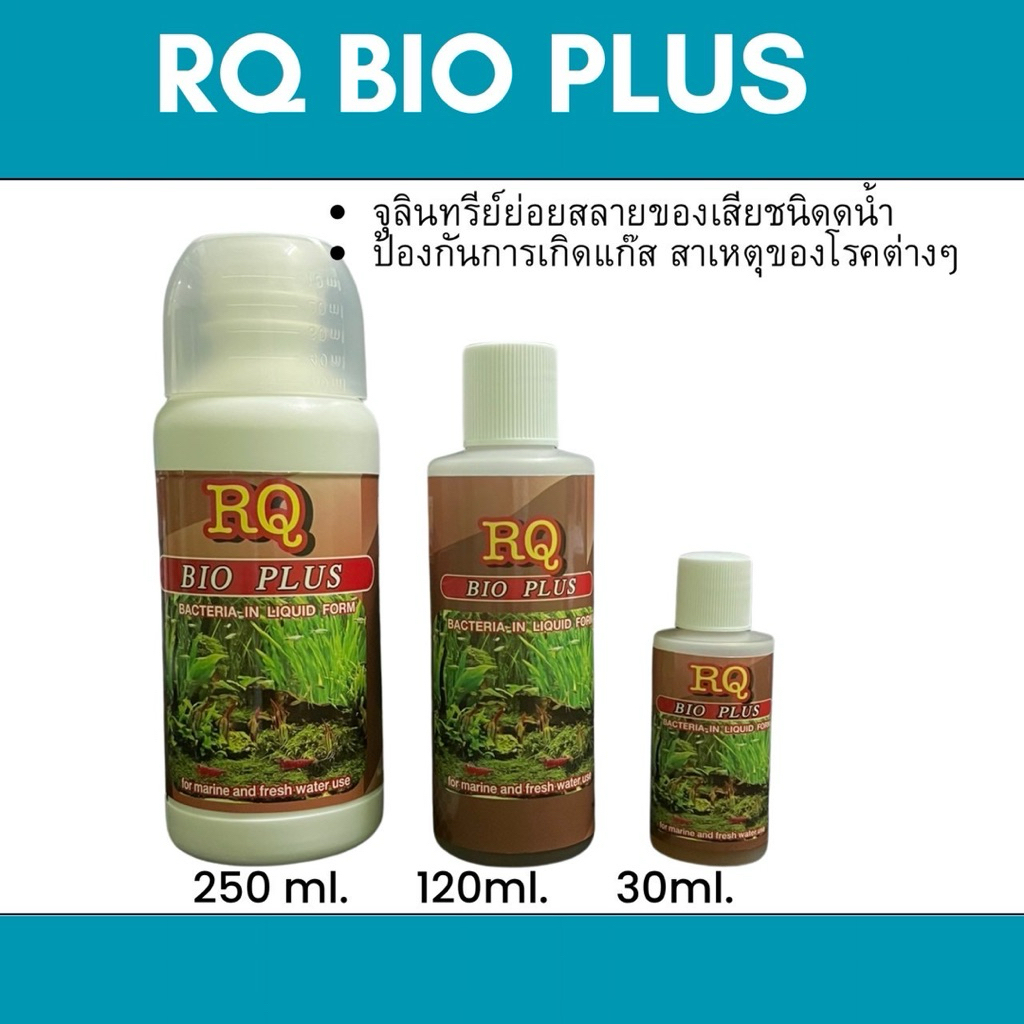 แบคทีเรีย RQ BIO PLUS ย่อยสลายของเสียในน้ำ ใช้ได้ทั้งน้ำจืดและน้ำทะเล จุลินทรีย์ มาลาไคท์