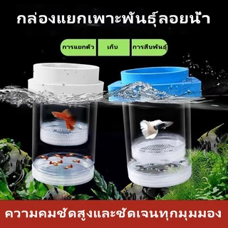 กล่องฟักไข่ปลาที่ลอยได้ กล่องฟักลอย กล่องแยกปลาคลอดลูก 2ช่องแยกลูกกุ้ง และแยกปลาที่กำลังป่วย สองขนาด