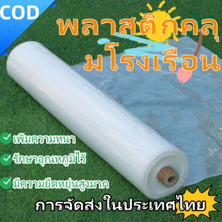 Daily Gold พลาสติกคลุมโรงเรือน พลาสติกใส คลุมหลังคากันสาด ฟิล์มPE ปูบ่อ กันฝน ผลิตจากวัตถุดิบเกรด AAA ขนาด 120/150 ไมคร