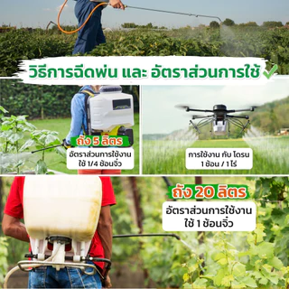 ผงดำเทพสถิตย์ ขนาด 5 กรัม สารเพิ่มประสิทธิภาพพืช ใช้ได้กับพืชทุกชนิด