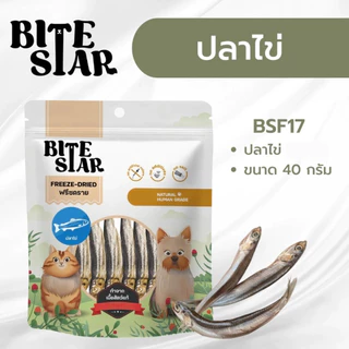 Bite Star ขนมฟรีซดราย แมวและสุนัข ทานได้ Freeze Dried ชิ้นเนื้อแท้ ไม่เติมเกลือ ขนาด 40 กรัม