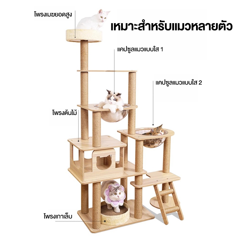 คอนโดแมวหลังใหญ่หลายดีไซน์ ไม้สวยไร้เหลี่ยมคม คอนโดไม้ รูปที่ 2