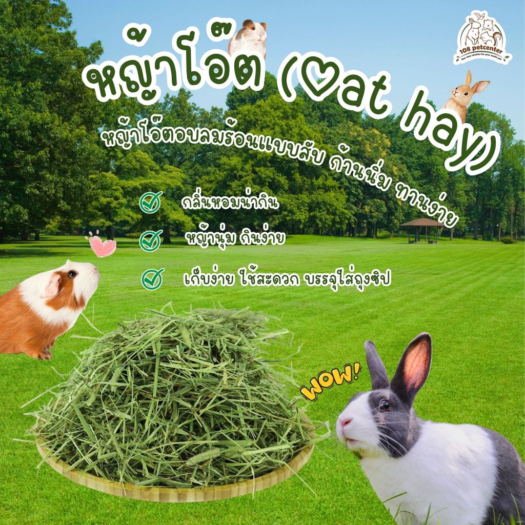 หญ้าโอ๊ต Oat Hay อาหารสัตว์เล็ก สำหรับกระต่าย แกสบี้ แพรี่ด็อก ชินชิลล่า (108pet)