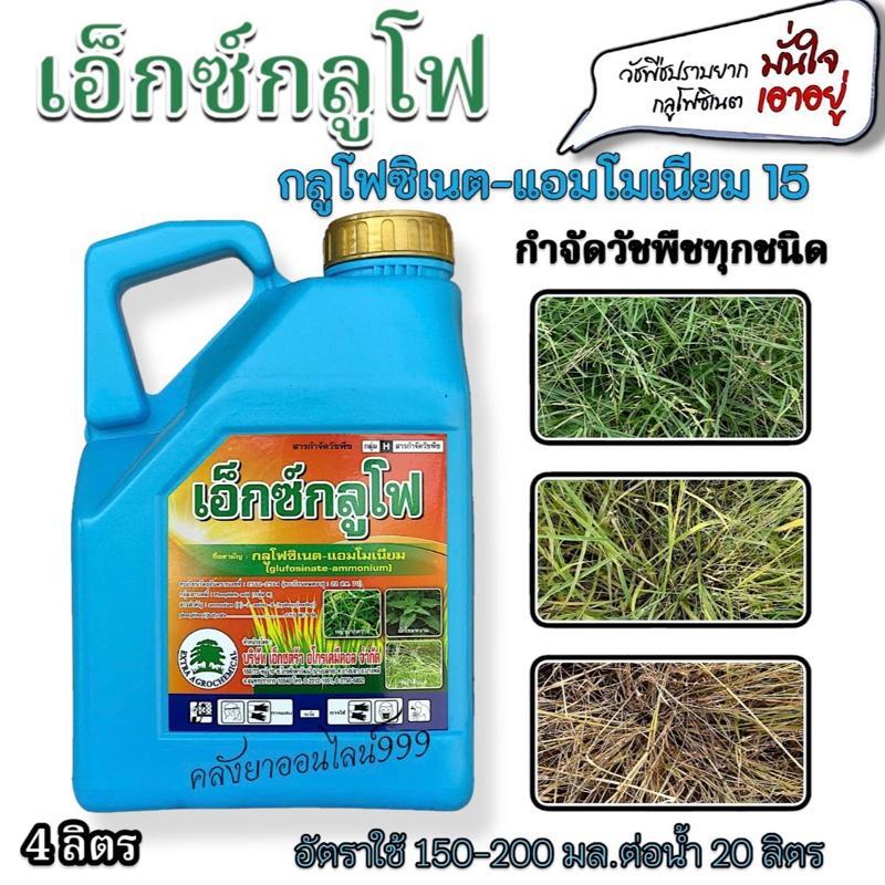 *เผาไหม้ น้ำฟ้าเกดพรีเมียม**เอ็กซ์กลูโฟ(กระติกฟ้า) สูตรเข้มข้น ปราบเรียบทุกหญ้า ใช้ได้ในไร่ ในนา ในสวน ขนาด4ลิตร