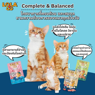 [โหล 12 ซอง] Lola&Co อาหารเปียกแมวโลล่าแอนด์โค สูตร Complete and Balance คละได้ ไม่เติมเกลือ ขนาด80g