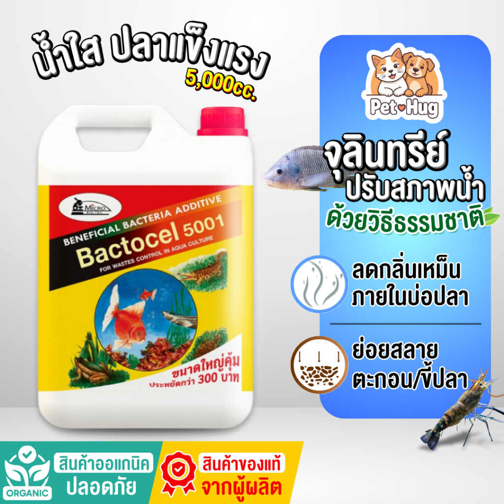 (ของแท้ 100%) Bactocel 5001 5ลิตร จุลินทรีย์น้ำใส บ่อปลา ตู้ปลา แบคโตเซล ปรับสภาพน้ำใส บ่อขนาดใหญ่