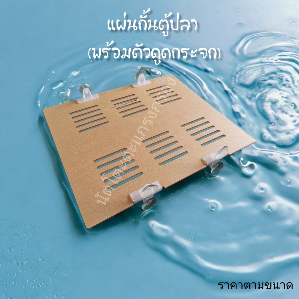 แผ่นกันตู้ปลาอะคริลิคพร้อมตัวดูดกระจก
