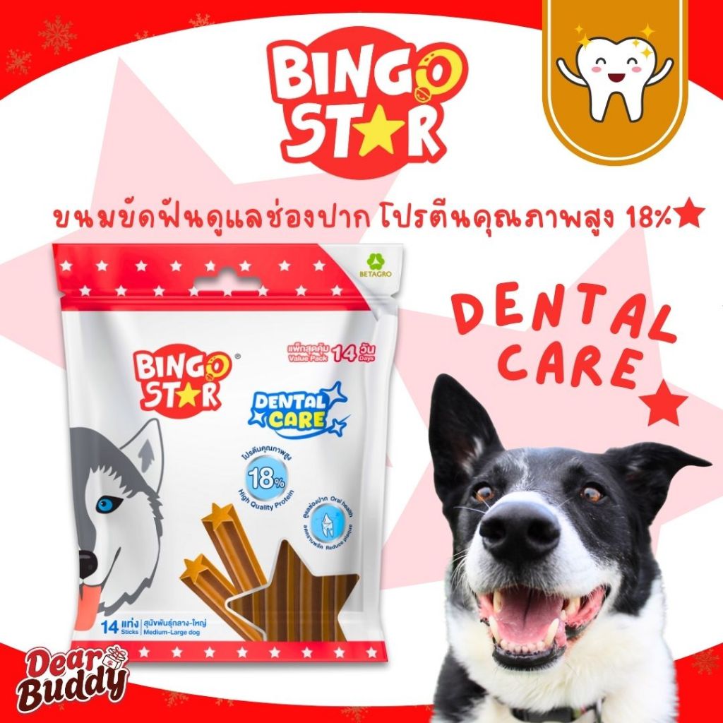 Bingo Star Dental care  ขนมขัดฟัน น้ำหนัก 520 กรัม แพ็กสุดคุ้ม 14 วัน แทะได้ทุกวันไม่เบื่อ! ขนมขัดฟันสุนัข ขนมสุนัข