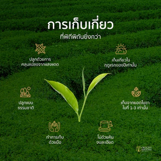 OKUCHA MATCHA Ceremonial (30g) มัทฉะเกรดพิธี นำเข้าจากญี่ปุ่น