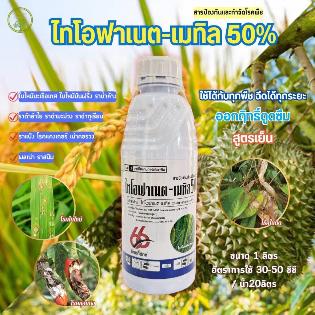 ไทโอฟาเนต-เมทิล 1 ลิตร ป้องกันโรคพืชเชื้อรา ใบไหม้ ใบจุด ราน้ำค้าง ราเข้าขั้ว ราแป้ง ข้าว พืชผัก/ไร่ - รูปที่ 2